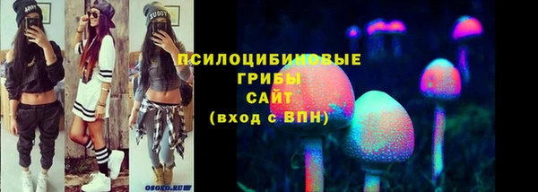 спиды Алексин