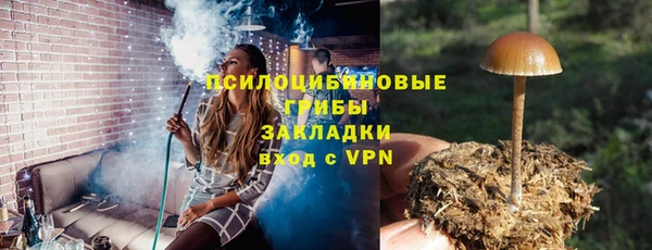 спиды Алексин
